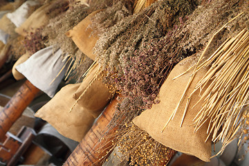 Image showing dry herbals background