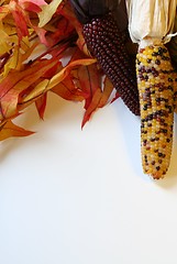 Image showing Fall Harvest