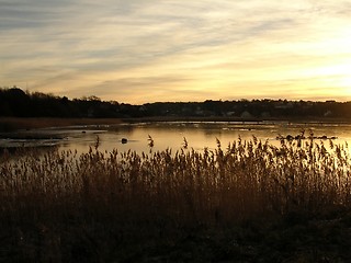 Image showing Bay at evening