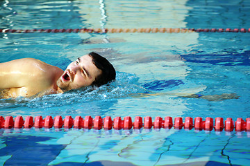 Image showing man swimming