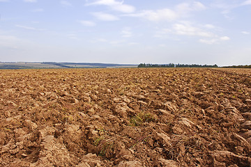 Image showing Plow in autumn