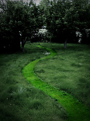 Image showing A grassy path