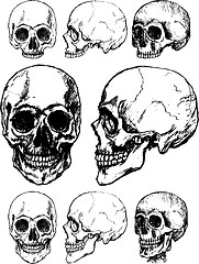 Image showing Skull design