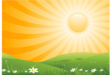 Image showing Summer background