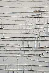 Image showing grunge wooden plywood white paint peeling backdrop 