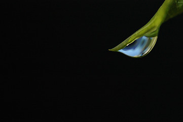 Image showing Raindrop on leaf