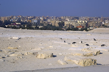 Image showing Viiw at Cairo