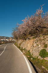 Image showing Mediterranean winter