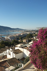 Image showing Sunny Altea