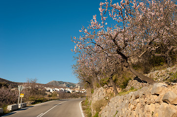 Image showing Scenic road