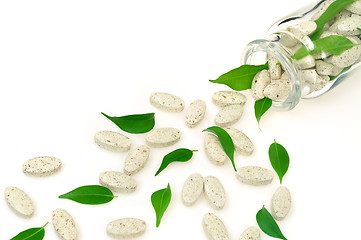 Image showing Herbal supplement pills and fresh leaves  spilling out of bottle