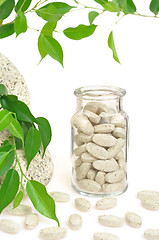 Image showing Herbal supplement pills and fresh leaves 