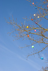 Image showing Multicolor christmas toys deciduous tree blue sky 