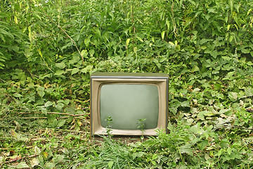 Image showing Old TV set among green plants