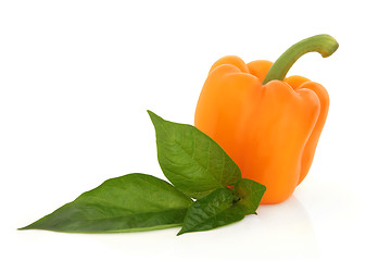 Image showing Orange Pepper 