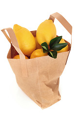 Image showing Lemons in a Bag