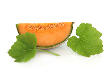 Image showing Cantaloupe Melon