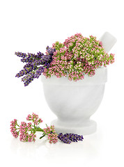 Image showing Valerian and Lavender Herb Flowers