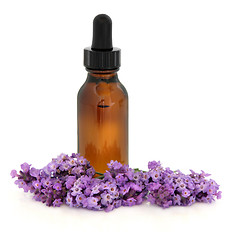 Image showing Lavender Flower Essence