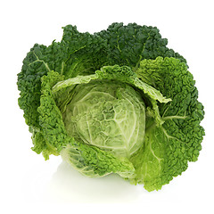 Image showing Savoy Cabbage