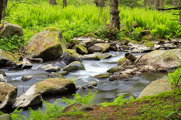 Image showing small wild river in Bohemian forest 