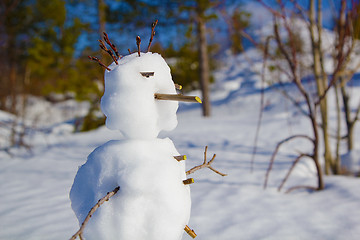 Image showing Portrait of a snowman