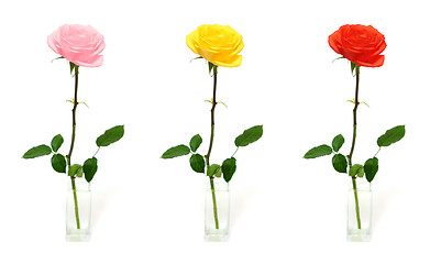 Image showing single rose in vase - color options