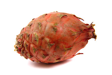 Image showing pitahaya fruit