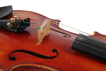 Image showing detail of violin