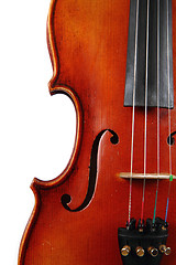 Image showing violin details