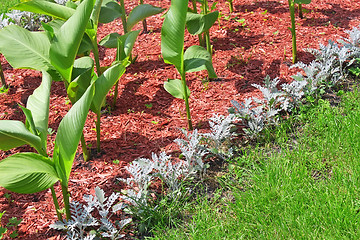 Image showing Detail of flowerbeds