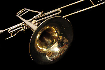 Image showing golden trumpet 
