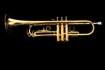 Image showing gold trumpet