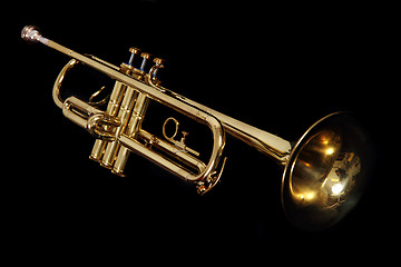 Image showing golden trumpet 