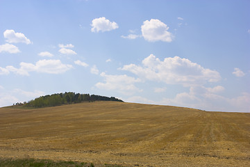 Image showing autumn yellow field and the blue sky