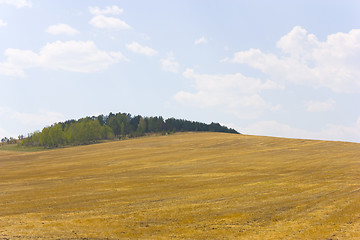 Image showing autumn yellow field and the blue sky