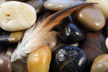 Image showing Feather on stones