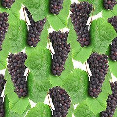 Image showing Blue grape with green leaf, isolated on white background