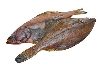 Image showing Four fresh flounder fishes 