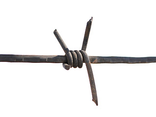 Image showing Barbed wire