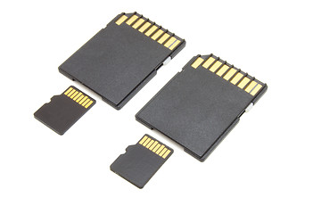 Image showing Secure Digital memory cards 