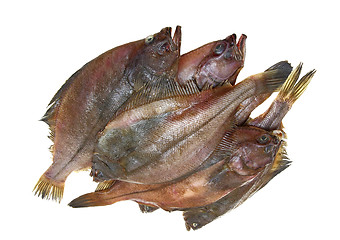 Image showing Four fresh flounder fishes 