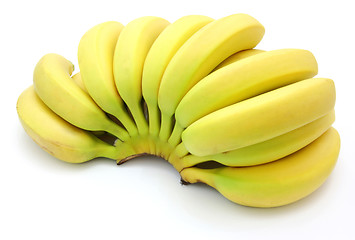 Image showing Bunch of bananas isolated on white background