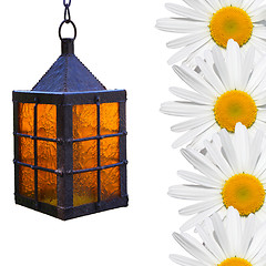 Image showing Chamomile flowers and lights.