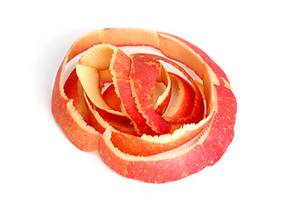 Image showing Purified red apple peel is a ring.