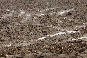 Image showing Mud