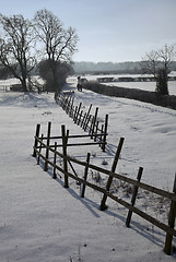 Image showing Walking in wintry fields