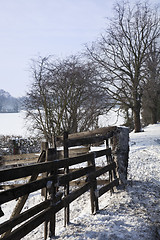 Image showing Wintry country lane