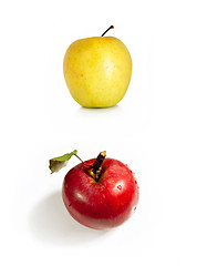 Image showing apples