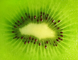 Image showing kiwi background